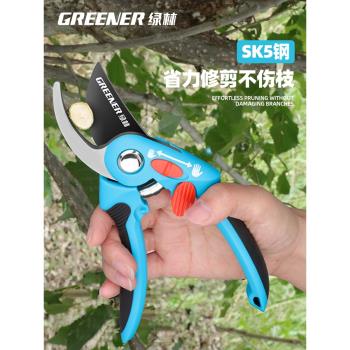 綠林家用園藝修枝剪刀剪樹枝SK5專用剪刀果樹花剪盆栽省力園林剪