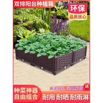 種植箱樓頂特大加深花槽塑膠蔬菜