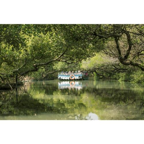 台南旅遊｜旅展優惠｜臺南觀光100亮點.四草綠色隧道遊船.安平老街贈豆花.黃金海岸一日｜中部出發_25TS629N1Z