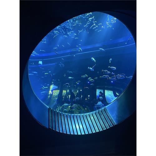 限定沖繩旅遊｜全程無自理餐｜古宇利～跨海大橋．最新DMM水族館．琉球傳統文化．BBQ暢食四日｜保住1晚國際品牌飯店_2025OKA043