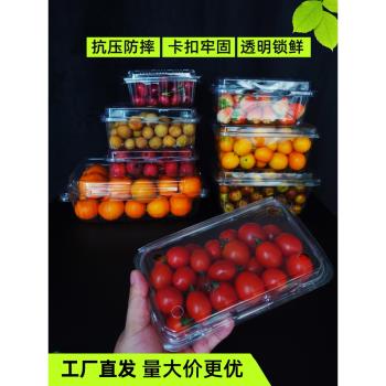 一次性水果盒帶蓋透明塑膠包裝果蔬保鮮盒草莓果切打包空盒子500m