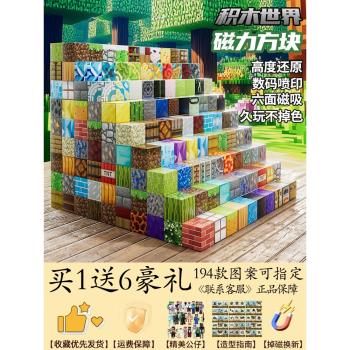 我的世界磁力方塊積木益智玩具拼圖3到6歲兒童拼裝MC磁性磁鐵磁吸
