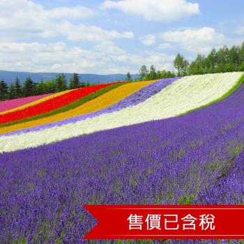暑降北海道｜富良野花田.湯倉神社.OUTLET.小樽運河.函館夜景五日｜三晚溫泉-25CHEAP888
