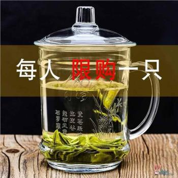鋼化玻璃杯茶杯帶把手家用防摔套裝杯子耐高溫個人專用水杯泡茶杯