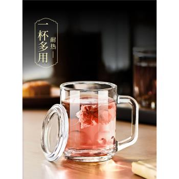 玻璃杯茶杯帶把手家用耐高溫鋼化防摔啤酒杯子個人專用男泡茶水杯