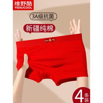 本命年男士內褲純棉大紅色四角短褲男款底褲頭寬松大碼蛇年新款冬