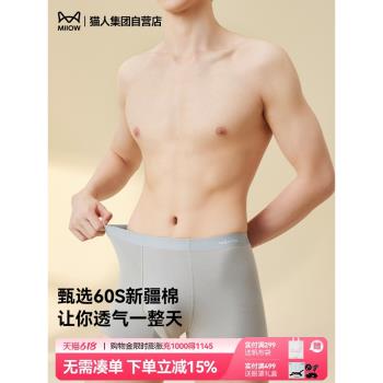 貓人2025春季男士內褲純棉抗菌底襠透氣平角四角男生短褲春夏褲衩