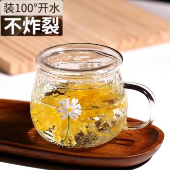 玻璃水杯家用耐熱防爆花茶杯微波爐加熱杯女牛奶麥片杯帶把咖啡杯