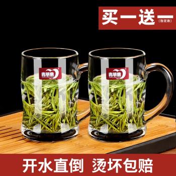 青蘋果日式耐熱玻璃杯家用泡茶杯牛奶帶把茶飲杯喝水杯子辦公杯子