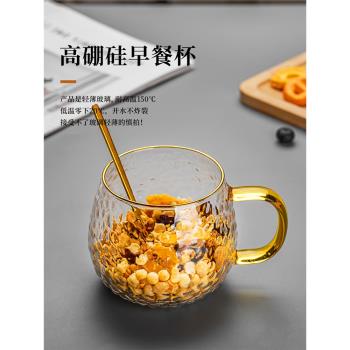 高硼矽玻璃杯耐高溫防爆水杯精緻早餐杯牛奶杯女花茶杯家用咖啡杯