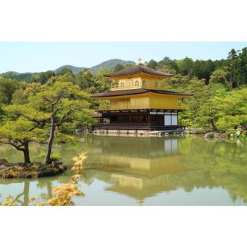 暑假促銷｜關西京阪神奈｜伏見稻荷大社.金閣寺.京都廚房錦市場.奈良小鹿.神戶港燈塔.美學átoa水族館五日｜高雄來回 SJP25KIX02