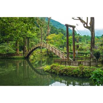 南投旅遊｜杉步五食！唯美森境～杉林溪登山健遊‧茶二指故事館‧體驗採菇‧安妮公主花園下午茶二日│大人囝仔-25TMNTASLB