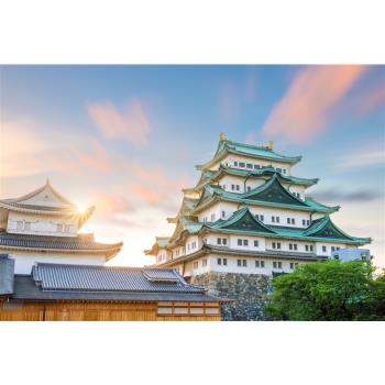 北陸旅遊｜親子團｜臺灣虎航｜名古屋樂高樂園.模範生點心麵主題樂園.雪上戲雪.海豚秀.松阪牛壽喜燒六日｜高雄來回 SJP06IT23K