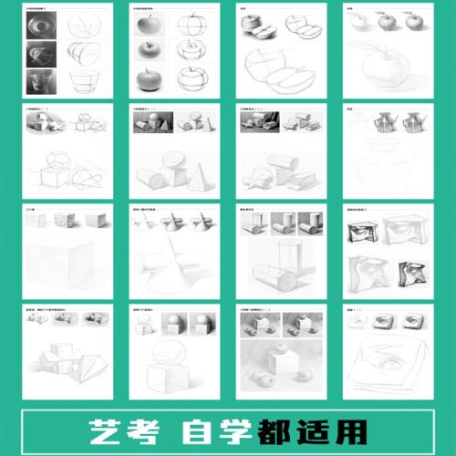 飛樂鳥素描臨摹本膠裝新手畫畫入門幾何體進階靜物描摹鉛畫紙套裝|畫布