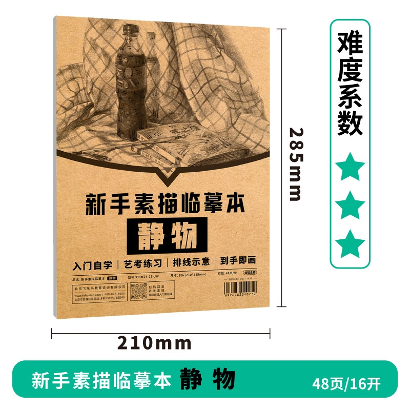 飛樂鳥素描臨摹本膠裝新手畫畫入門幾何體進階靜物描摹鉛畫紙套裝|畫布