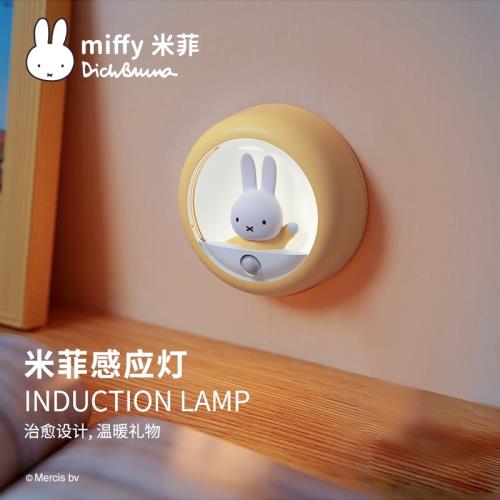 米菲智能光感應燈led小夜燈臥室睡眠usb燈過道宿舍床頭氛圍燈禮物