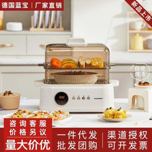 藍寶聚能鮮蒸鍋電蒸鍋蒸燉鍋多功能家用隔水燉盅全自動預約蒸汽鍋