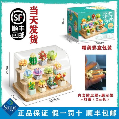 多肉一系列積木