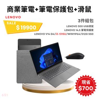 【組合包】LENOVO 聯想V14 G4 14吋 商用筆電灰色 i3-1315U+筆電保護套 14.5吋+有線滑鼠