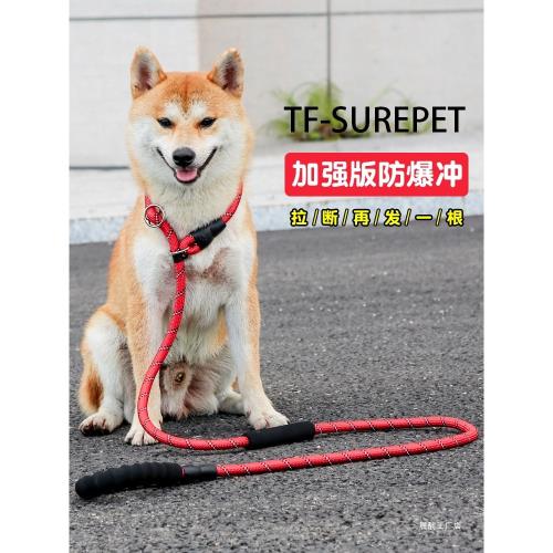 狗狗牽引繩p鏈遛狗繩中大型犬p繩防爆沖狗鏈遛金毛牽羊駝寵物狗繩