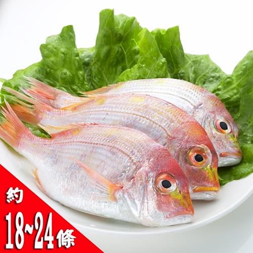 【鮮味達人】現流赤宗鮮魚(6斤)嚐鮮下殺組-集網