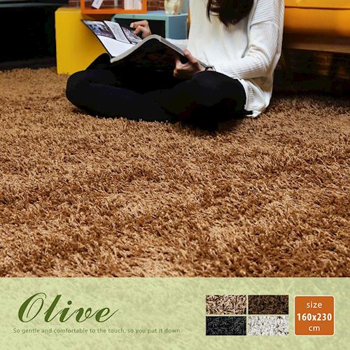 【H&D】奧克蘭素色簡約長毛地毯(160*230公分)