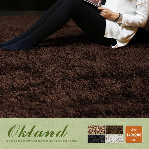 【H&D】奧克蘭素色簡約長毛地毯(140*200公分)