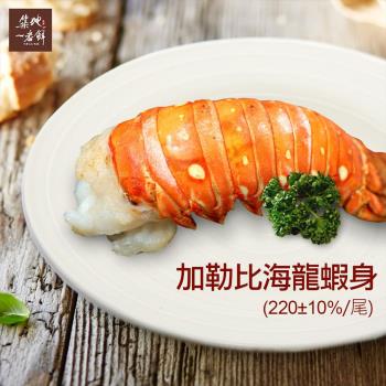 築地一番鮮-蔚藍海-加勒比海8盎司龍蝦身3隻(220g±10%/隻)免運組