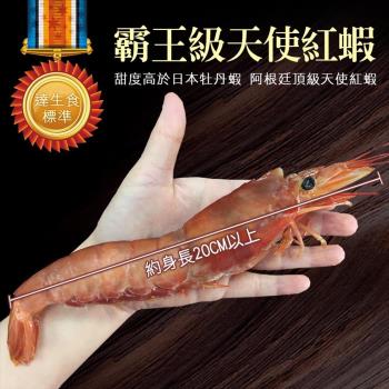 築地一番鮮 刺身用頂級XL巨無霸天使紅蝦原裝盒(2kg/盒,約30尾±5尾)