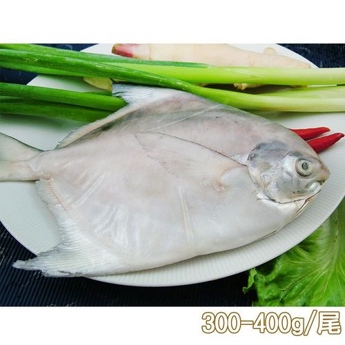 任-新鮮市集 鮮嫩富貴白鯧魚(300-400g/尾)