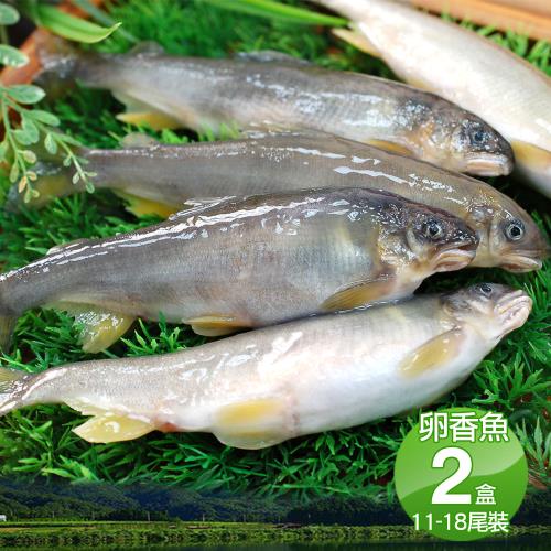 築地一番鮮-宜蘭帶卵小香魚2盒(11-18尾裝/920g/盒)免運組