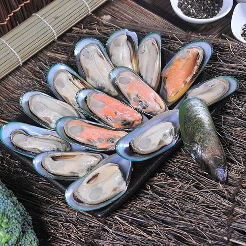 漁季 紐西蘭原裝進口淡菜美味組