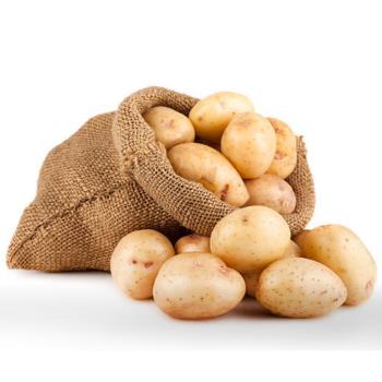 鮮採家 新鮮馬鈴薯10台斤1箱