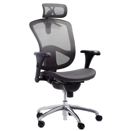 GXG 人體工學 電腦椅 TW-71F1 PRO 豪華款 (二色)