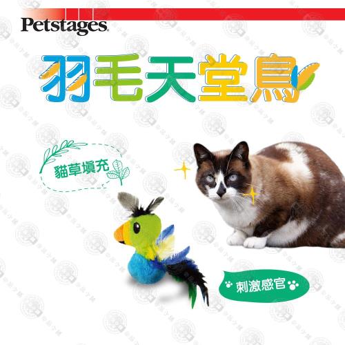 美國 Petstages 90019 羽毛天堂鳥-貓草玩具 寵物貓咪玩具
