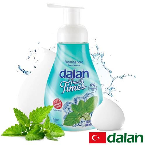 土耳其dalan - 清新薄荷洗手慕斯 300ml(即期品至2021.08)