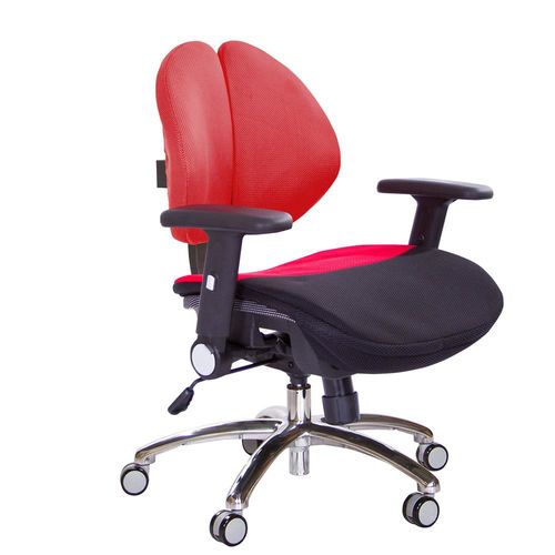 GXG 雙背電腦椅 TW-2997LU1CX (記憶軟墊、布套)