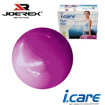 JOEREX 艾可兒健身球 韻律球 瑜珈球 彈力球 塑身球(附打氣筒)-JIC019-網
