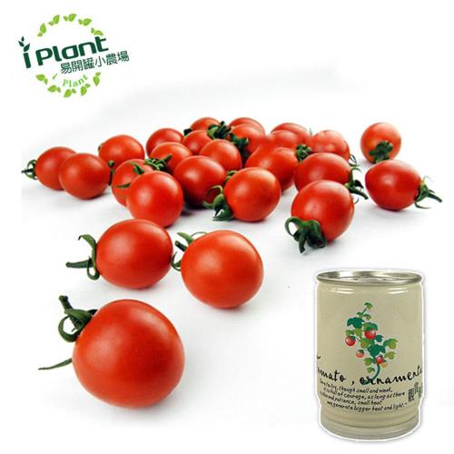 任-iPlant易開罐頭農場-小蕃茄