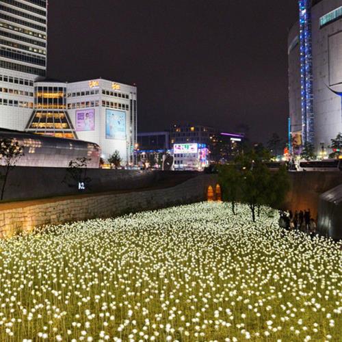 五星戲雪韓國~樂天世界塗鴉秀6日(1月出發)