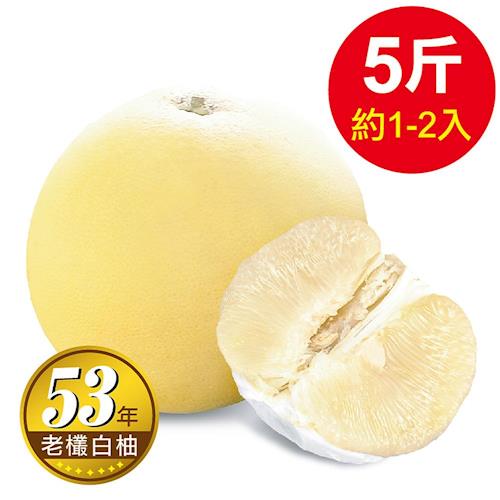 正 台南林家 53年在地老欉大白柚-直送1箱(5台斤 1-2顆)