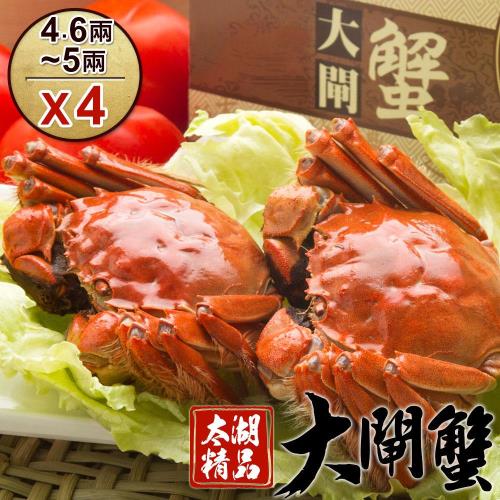 【食肉鮮生】 太湖精品級大閘蟹4隻組-死蟹包退(4.6~5兩/隻)