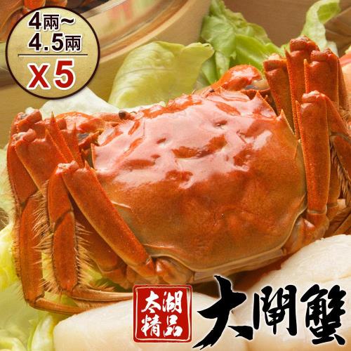【食肉鮮生】 太湖精品級大閘蟹5隻組-死蟹包退(4~4.5兩/隻)