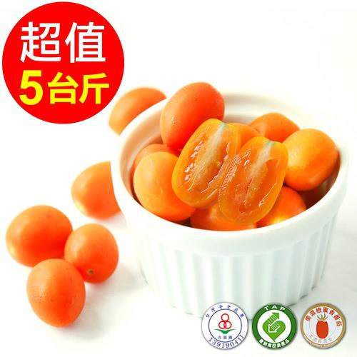 人字山 美濃橙蜜香小番茄 1箱(5台斤/3公斤)