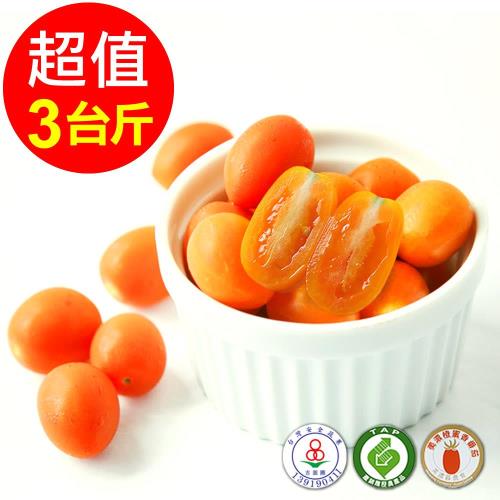 人字山 美濃橙蜜香小番茄 1箱(3台斤/1.8公斤)