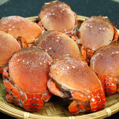 築地一番鮮 嚴選野生特大母旭蟹3隻 400 500g 隻 松葉蟹 旭蟹 Etmall東森購物網 築地一番鮮 嚴選野生特大母旭蟹3隻 400 500g 隻 松葉蟹 旭蟹 Etmall東森購物網