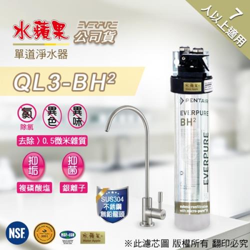 EVERPURE水蘋果單道淨水器QL3-BH2