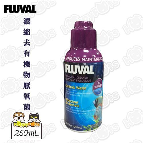 【HAGEN富濾霸】濃縮去有機物厭氧菌(250mL)