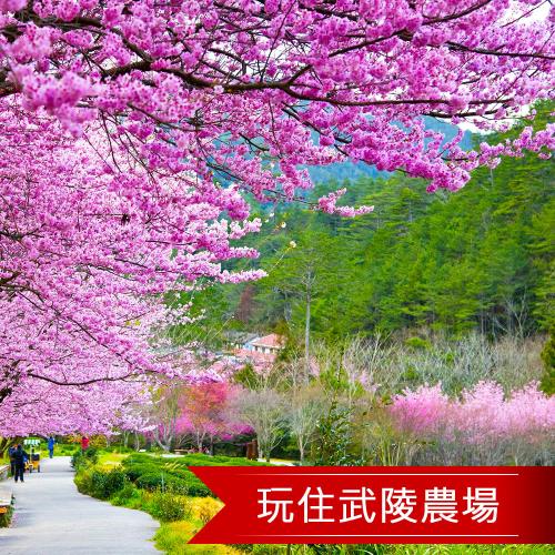 賞花~武陵農場+棲蘭森林遊樂區2日旅遊(四人房)-單人券(4-6月)