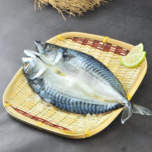 漁季 正宗挪威鯖魚(300g/包)*10